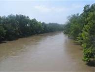 Neosho River full2.jpg
